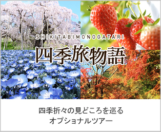 四季折々の見どころを巡るオプショナルツアー