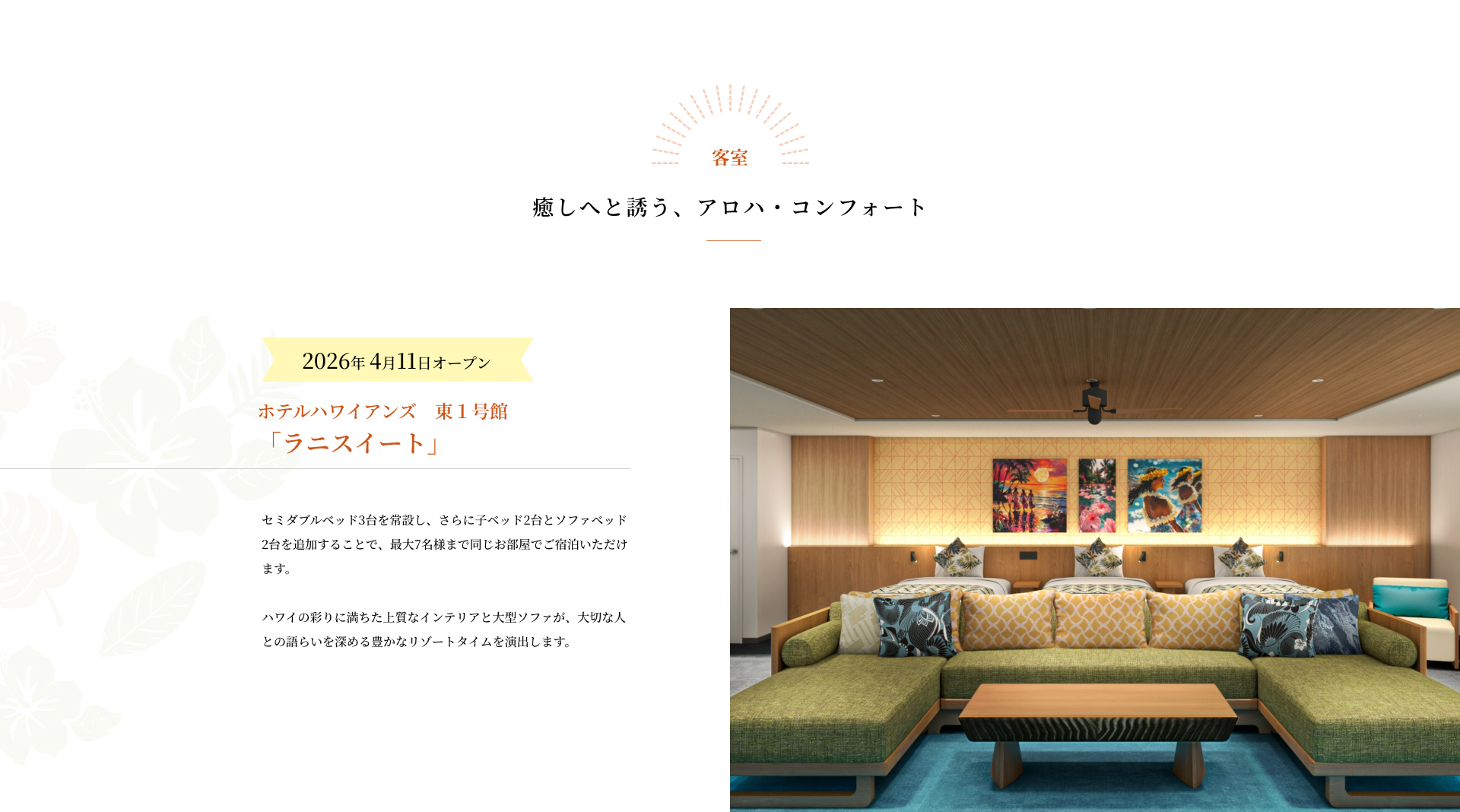 Rani Suite New Guest Room