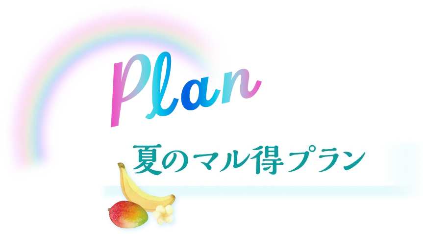 plan 夏のマル得プラン