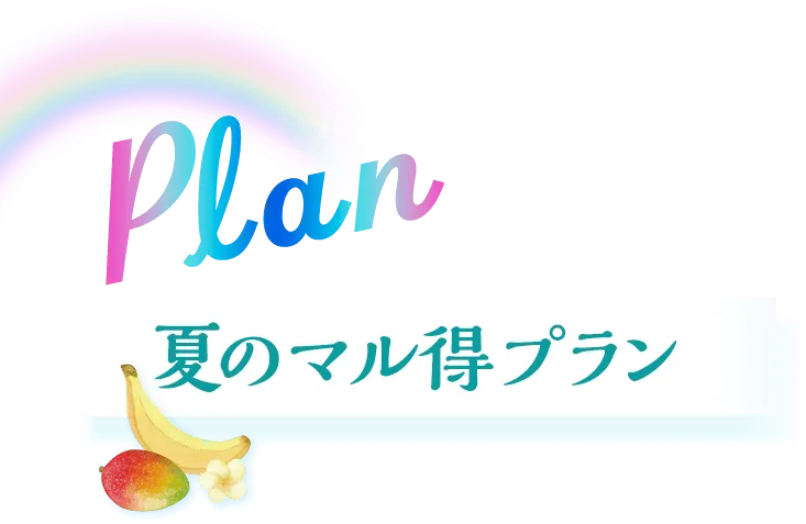 plan 夏のマル得プラン