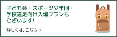 子ども会・スポーツ少年団・学校遠足向け入場プランもございます！