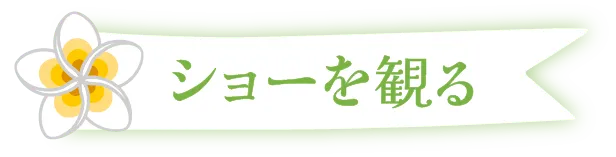 ショーを観る