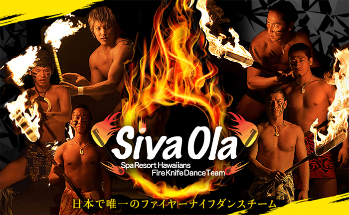 シバオラ、始動