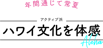 年間通じて常夏 アクティブ派 ハワイ文化を体感