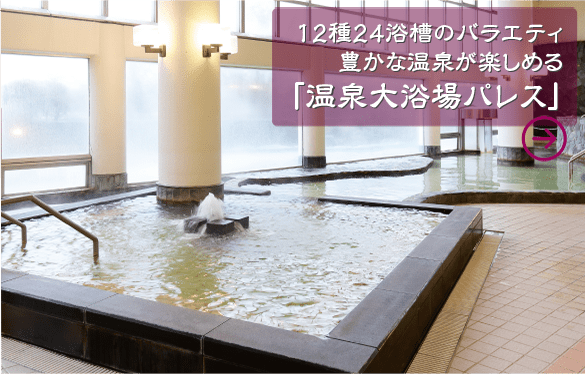 12種24浴槽のバラエティ豊かな温泉が楽しめる「温泉大浴場パレス」