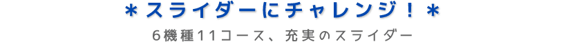 スライダーにチャレンジ！6機種11コース、充実のスライダー