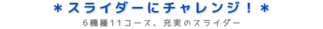 スライダーにチャレンジ！6機種11コース、充実のスライダー