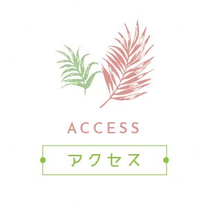 アクセス