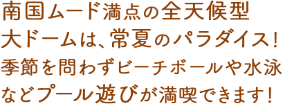 南国ムード満点の全天候型大ドームは、常夏のパラダイス！季節を問わずビーチボールや水泳などプール遊びが満喫できます！