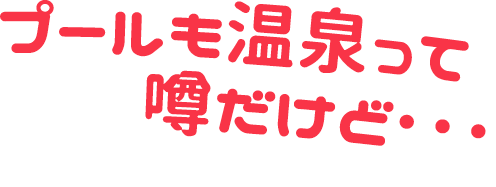 プールも温泉って噂だけど...