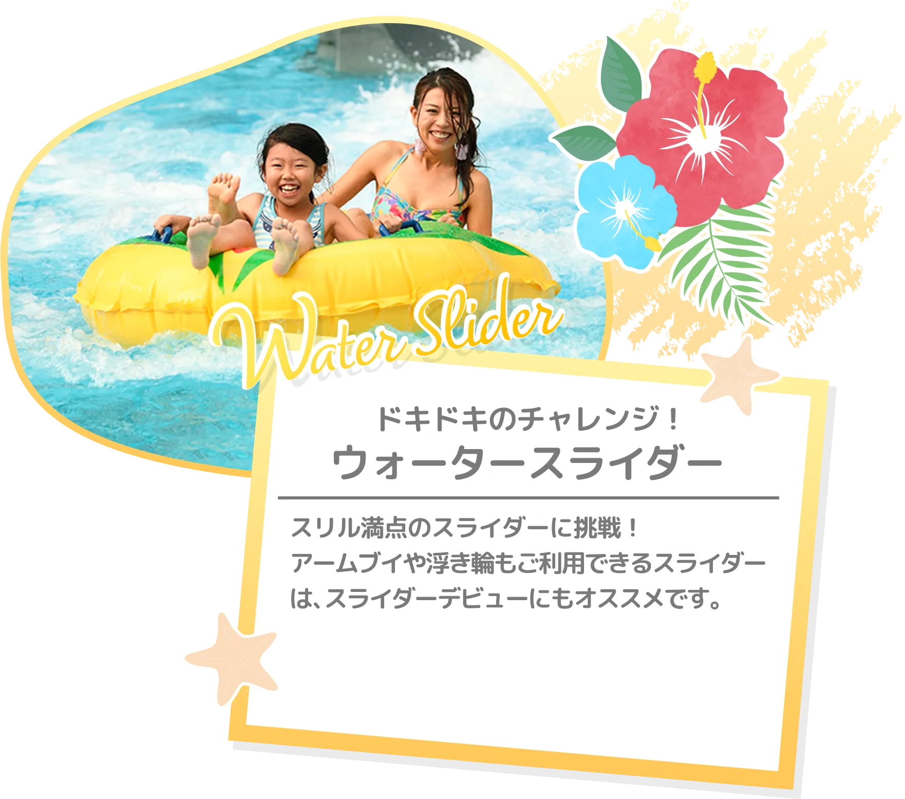 どきどきのチャレンジ！ ウォータースライダー | スリル満点のスライダーに挑戦！アームブイや浮き輪もご利用できるスライダーは、スライダーデビューにもオススメです。