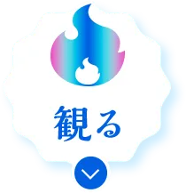観る
