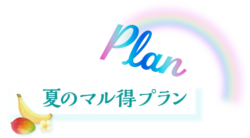 plan 夏のマル得プラン