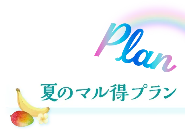 plan 夏のマル得プラン
