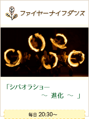 ファイヤーナイフダンスショー「シバオラショー 〜進化～」