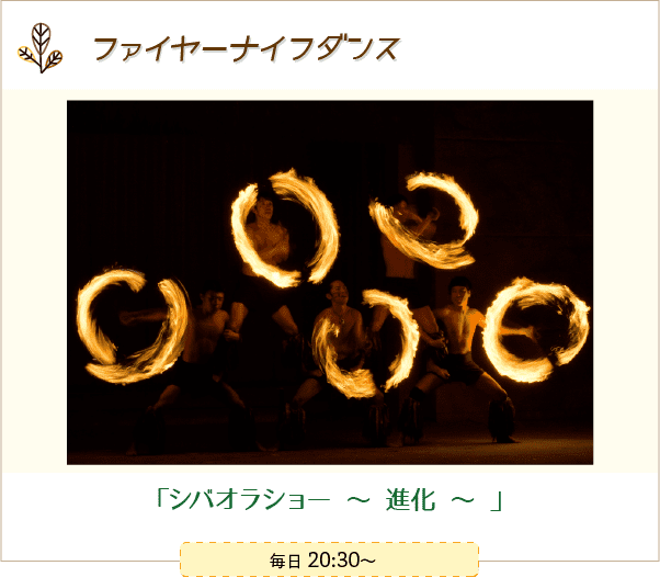 ファイヤーナイフダンスショー「シバオラショー 〜進化～」