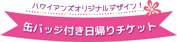 缶バッジ付き日帰りチケット