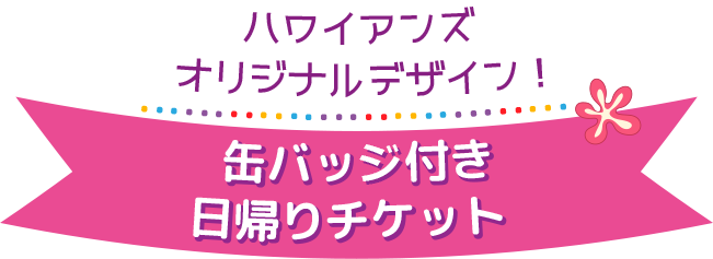 缶バッジ付き日帰りチケット