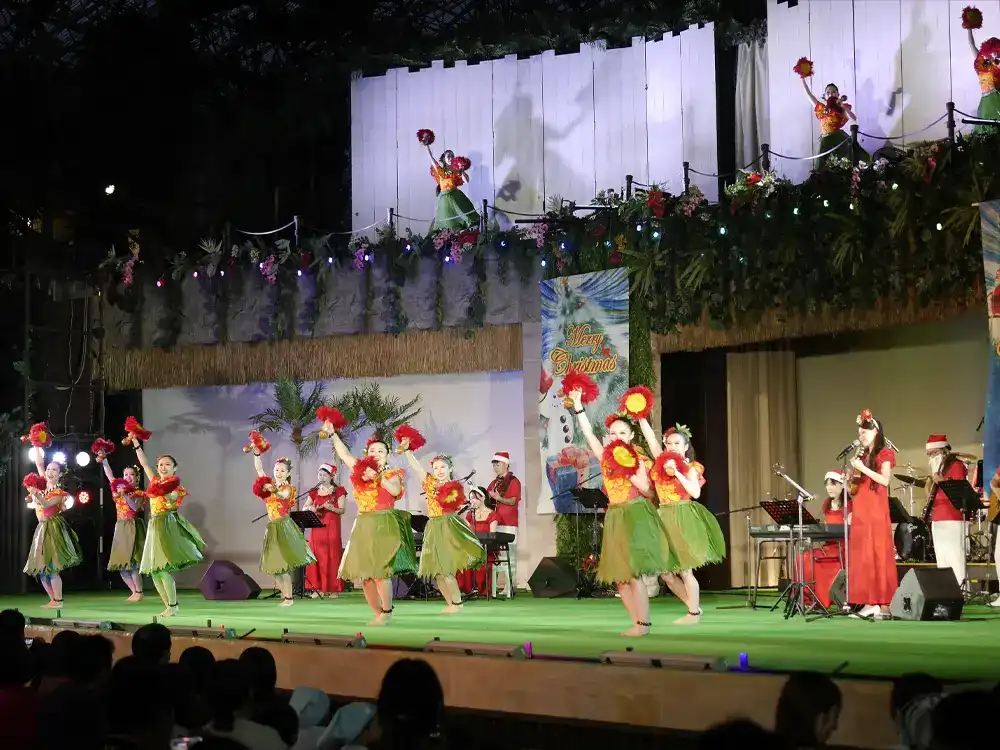 Christmas Special Concert