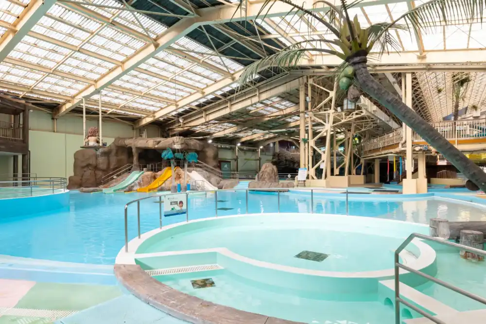 ワイワイオハナ